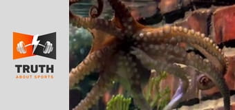 The 2016 European Championships The 2016 European Championships