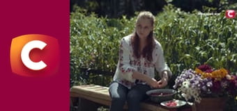 "Сліпа". Білка в колесі.