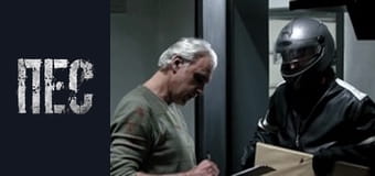 Пёс, Сезон 6, Серия 32