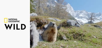 Скрытые чудеса зимы S1E3 - Ледяной мир Европы