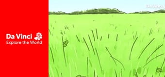 Дитинчата - Їжаки