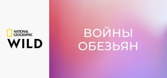 Войны обезьян