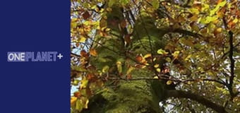 Мистецтво Простору. - серия 21