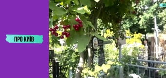 Стародавні кладовища Голосіївського лісу під загрозою забудови. Китаївська пустинь зникне.