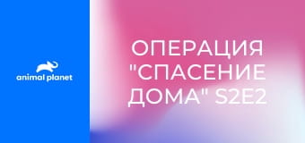 Операция "Спасение дома" S2E2 - Отравленная земля