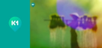 "Інший світ".