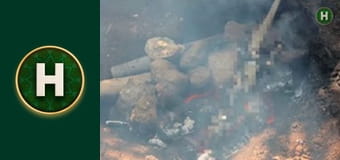 Орел і Решка. Земляни