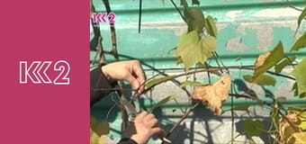 Удачний проект S1E26