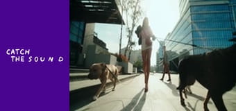 DOROFEEVA - Муракамі (OST «Песики»)