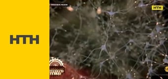 "Таємниці світу".