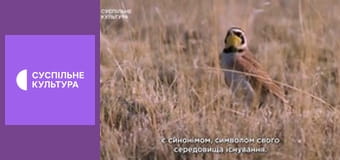 Д/с "Світ дикої природи. Дикі тварини". "Американські прерії".