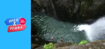 Золота карта, Випуск 39