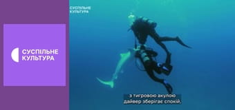 Д/с "Морські хижаки". "Тигрова акула".