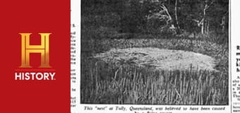 Древние пришельцы, 8 сезон, 8 эп. Круги с неба.