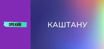 Рейтарська: київська молодіжна перлина. Чому стала популярною? Інтерв'ю зі співвласником "Каштану".
