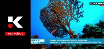 Цікаві факти.