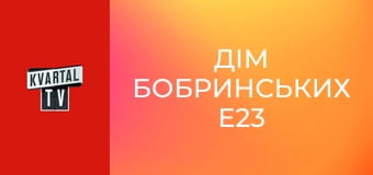 Дім Бобринських E23
