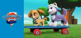 PAW Patrol. Season 5 - Episode 23
