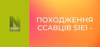 Походження ссавців S1E1 - Наші давні предки