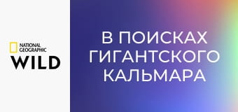 В поисках гигантского кальмара