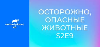 Осторожно, опасные животные S2E9 - Кошмар на горе