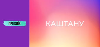 Рейтарська: київська молодіжна перлина. Чому стала популярною? Інтерв'ю зі співвласником "Каштану".