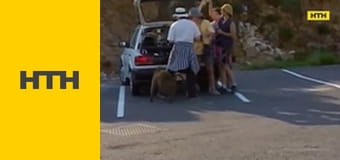 "Випадковий свідок".