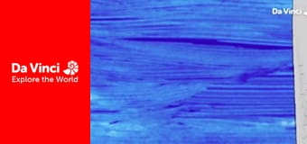 Дитинчата - Кашалоти