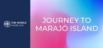 Journey to Marajó island and mangrove crab hunting. Brazil.