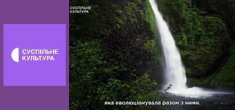 Д/с "Мир дикой природы. Дикие животные". "Пресные воды".