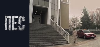 Пес, Сезон 6, Серія 37