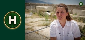 Орел і Решка. Земляни