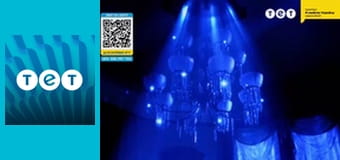 Всі жінки - відьми E110