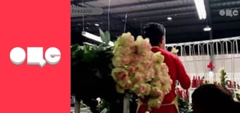 Заробитчане, 1 сезон, 7 эп.