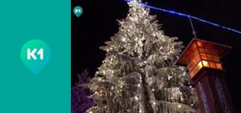 "Орел і Решка. Дайджест".