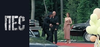 Пес, Сезон 6, Серія 9