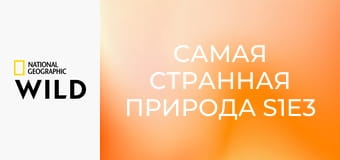 Самая странная природа S1E3