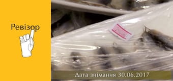 The Inspector, Season 8, Episode 14