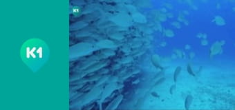 Т/с "Мисливці за реліквіями".