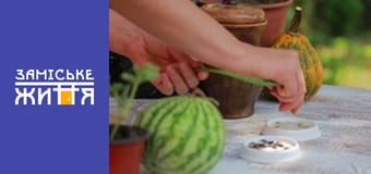 "Эко-дача" сезон 1 серия 8 "Эко-дача" сезон 1 серия 8