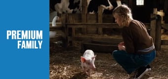 Павутиння Шарлотти