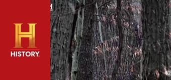 Доказательство где-то рядом, 4 сезон, 1 эп. Дело о бигфуте.