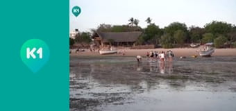 "Пригоди з Яною Метьолкіною".