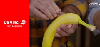 Исследование: «Наука на дому» - Верьте или нет