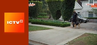 Х/ф "Антураж".