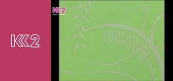 Спеція E8 - М'ясний фарш