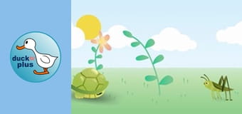 Home Sweet Home - Turtle