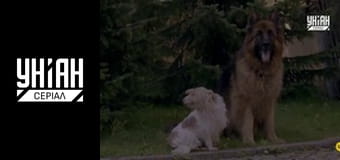 Новобранець