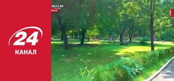 Нічний ефір