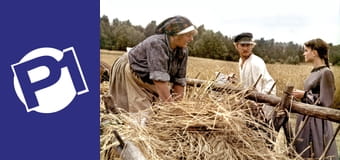 Nad Niemnem Nad Niemnem